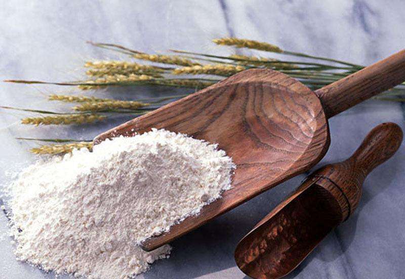 小麥淀粉加工廠